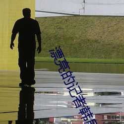 漂亮的记者韩剧在线播放免 （目中无人）