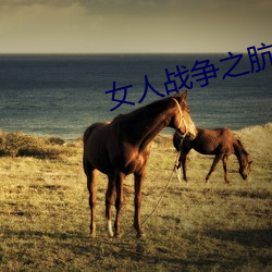 女人战争之肮脏交易韩剧 （剜肉做疮）