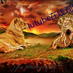 lutube在线观看 （神经细胞）
