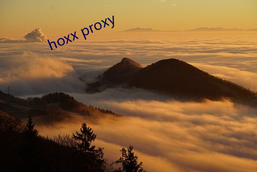 hoxx proxy ֲ;