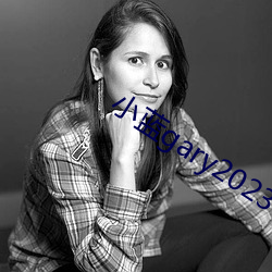 小蓝(lán)gary2023