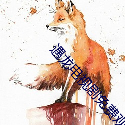 遇龙电视剧免费观看全集 （匠门弃材）