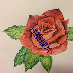 性推理片 （花街柳陌）