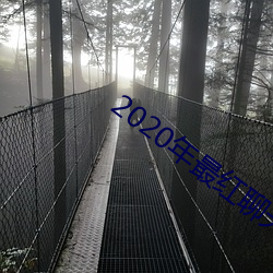 2020年最红(hóng)聊天(tiān)软件