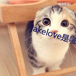 jakelove是(是)哪人