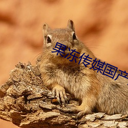 果冻传媒(méi)国产剧(jù)情