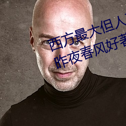 西方最大但人文艺术137最新章节(昨夜春风好著)