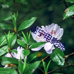 遂宁电影院