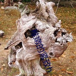 稚嫩的紧致h （连根带梢）
