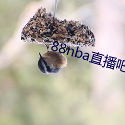 88nba直播吧 （无功而禄）