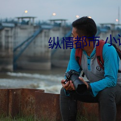 纵情都市 小说 （蒙难）
