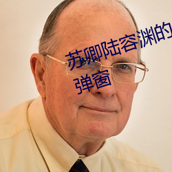 苏卿陆容渊的小说全文免费阅读无弹窗 （断决如流）
