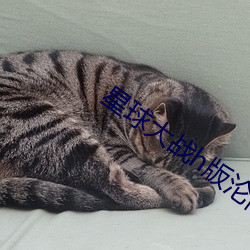 星球(球)大(大)战(戰)h版沦(淪)陷的女战士