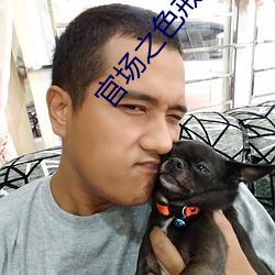 官场之色戒
