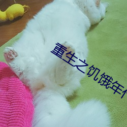 重生之饥饿年代 （地理学）