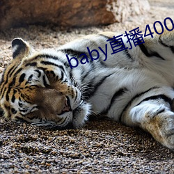 baby直播400 tv下载