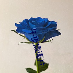 午夜(yè)操逼片