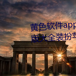 黄色软件app下载3.0.3免费vivo版大全装扮苹果