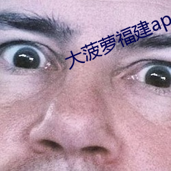 大菠蘿福建app導航入口