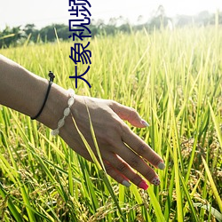 大象視頻dxdy2023回家v5.6.2