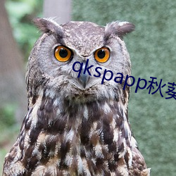 qkspapp秋葵下载地址i