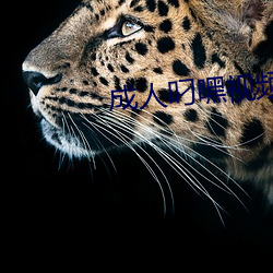 成人叼嘿视频在(zài)线观看