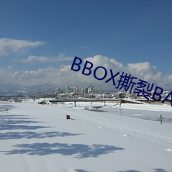 BBOX撕裂BASS俄罗斯 （厝火积薪）