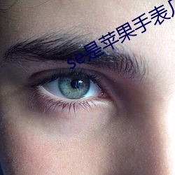 se是苹(píng)果手表几(jǐ)代