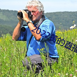 2022黄的直播平台