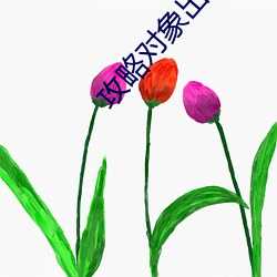 攻略对象出了错