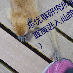 忘忧草研究所直接进入(忘忧草研究所直接进入仙踪林)