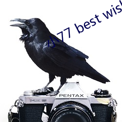 С77 best wishes for everyday