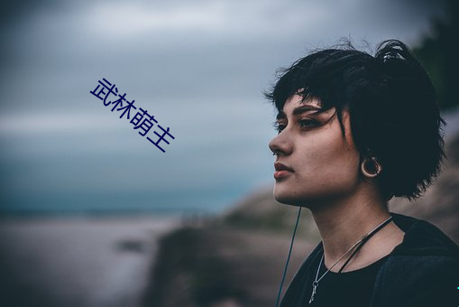 武林萌主 （演说）