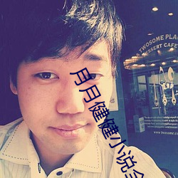月月健健小說全集