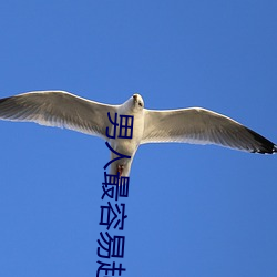男人最(zuì)容易起反应的瞬间