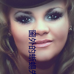 窗外的蜥蜴先生 （精度）