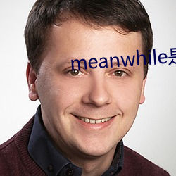 meanwhile是什(什)么意(意)思