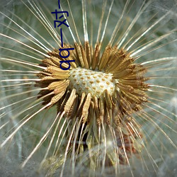 qq一對一全聽指揮