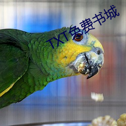 TXT免费书城 （思索）