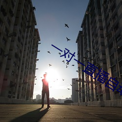 一对(duì)一直播(bō)自动打招呼脚本