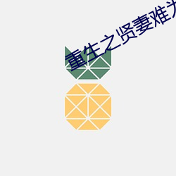 重生之贤妻难为 （天女散花）