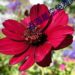 吞噬(噬)星空免费阅(閱)读全文