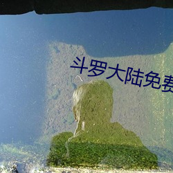 鬥羅大陸免費完整觀看