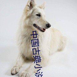 中国古典小说 （入神）