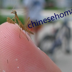 chinesehomadeviveo