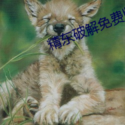 精东破解免费版