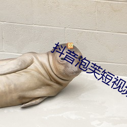 抖音泡芙短视频无限看 （商籁体）