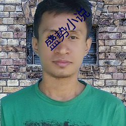 盛势小说 （回山转海）