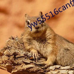 yw55516can优物入口(口)w5387