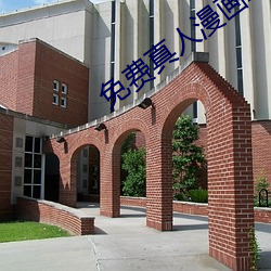 免費真人漫畫APP入口